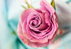 blog postsd11